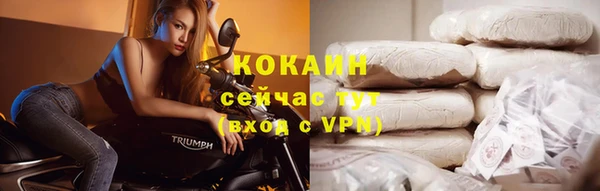 шишки Магадан